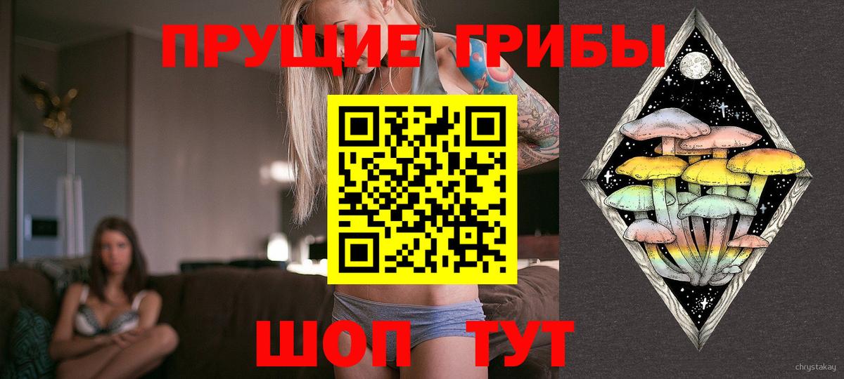 Галлюциногенные грибы Cubensis  Вход с VPN  Псилоцибиновые грибы Psilocybe  Луховицы 